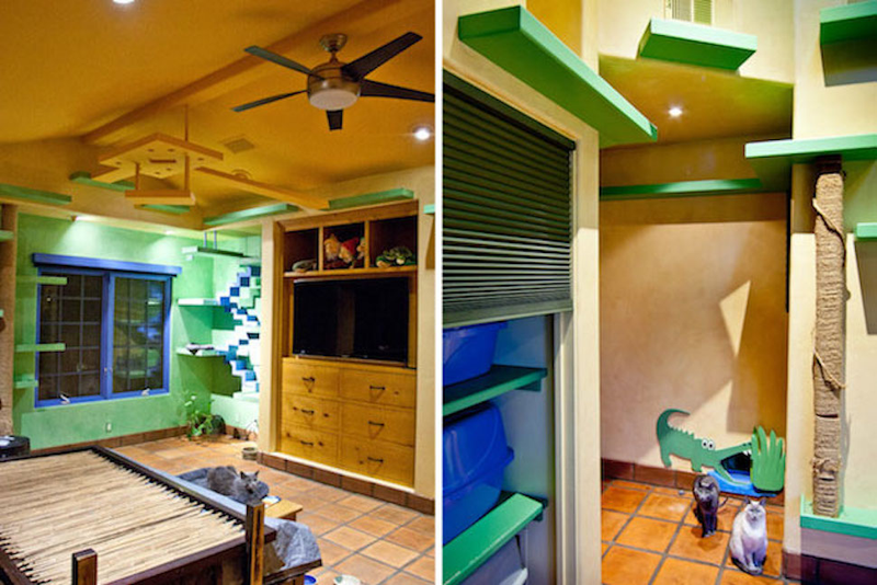 Illustration for article titled A $35,000 Renovation Turned This Suburban Home Into a Cat Palace
